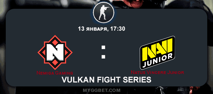 Прогноз на матч Nemiga Gaming vs Natus Vincere Junior 14 января 2021 года